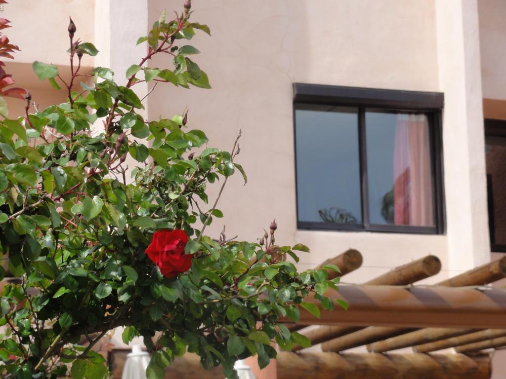 Hotel L'Hacienda มาร์ติกส์ ภายนอก รูปภาพ