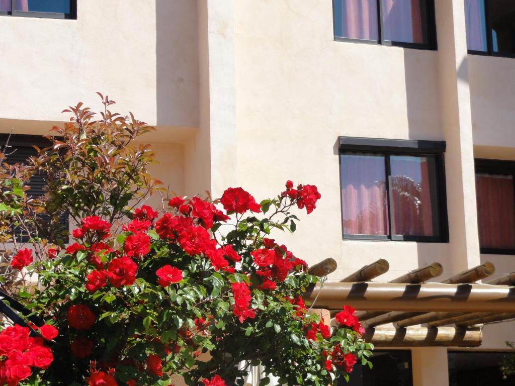Hotel L'Hacienda มาร์ติกส์ ภายนอก รูปภาพ